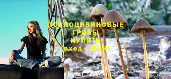 прущая мука Медногорск