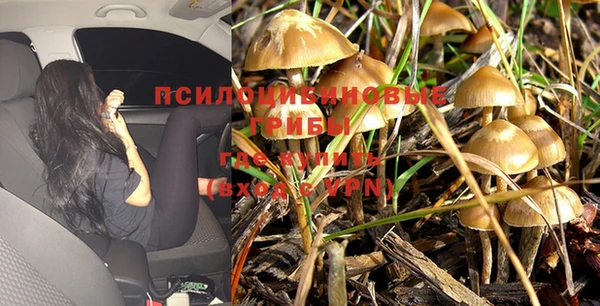 apvp Медвежьегорск
