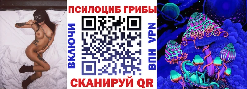 Галлюциногенные грибы Psilocybine cubensis  Белорецк 