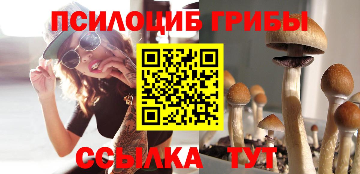Галлюциногенные грибы Magic Shrooms Белорецк